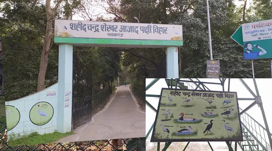 Shaheed Chandra Shekhar Azad Bird Sanctuary